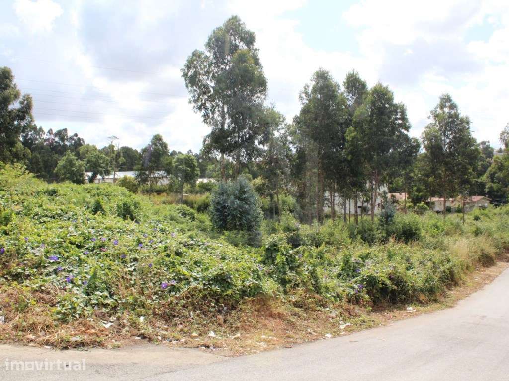 Terreno com 6.579 m2 em São Paio de Oleiros - Grande imagem: 3/10