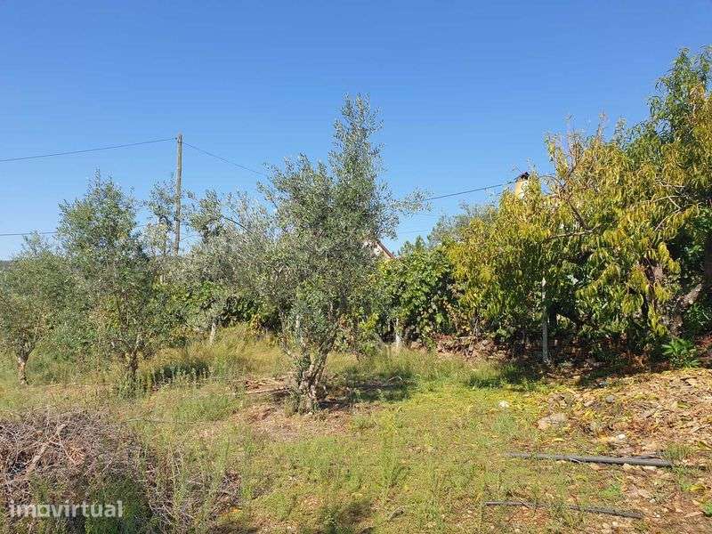 Lote de Terrenos Rústicos sitos em Oleiros - Grande imagem: 2/6