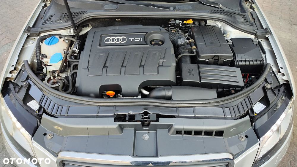 Audi A3 Sportback 1.6 TDI DPF Attraction - 33