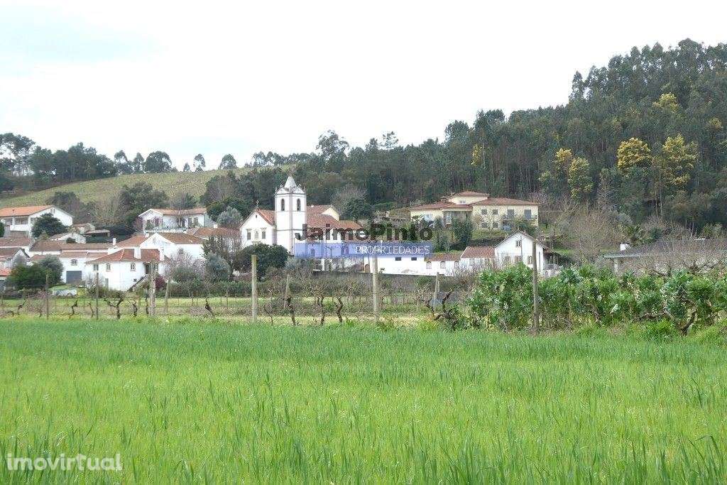 Casa, Ruína p/ restauro ou nova Edificação, em Rio Vide. Coimbra, M... - Grande imagem: 2/7