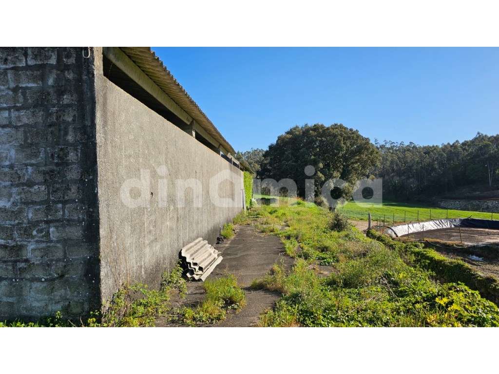 Armazém para recuperar - Vila Conde! - Grande imagem: 2/14