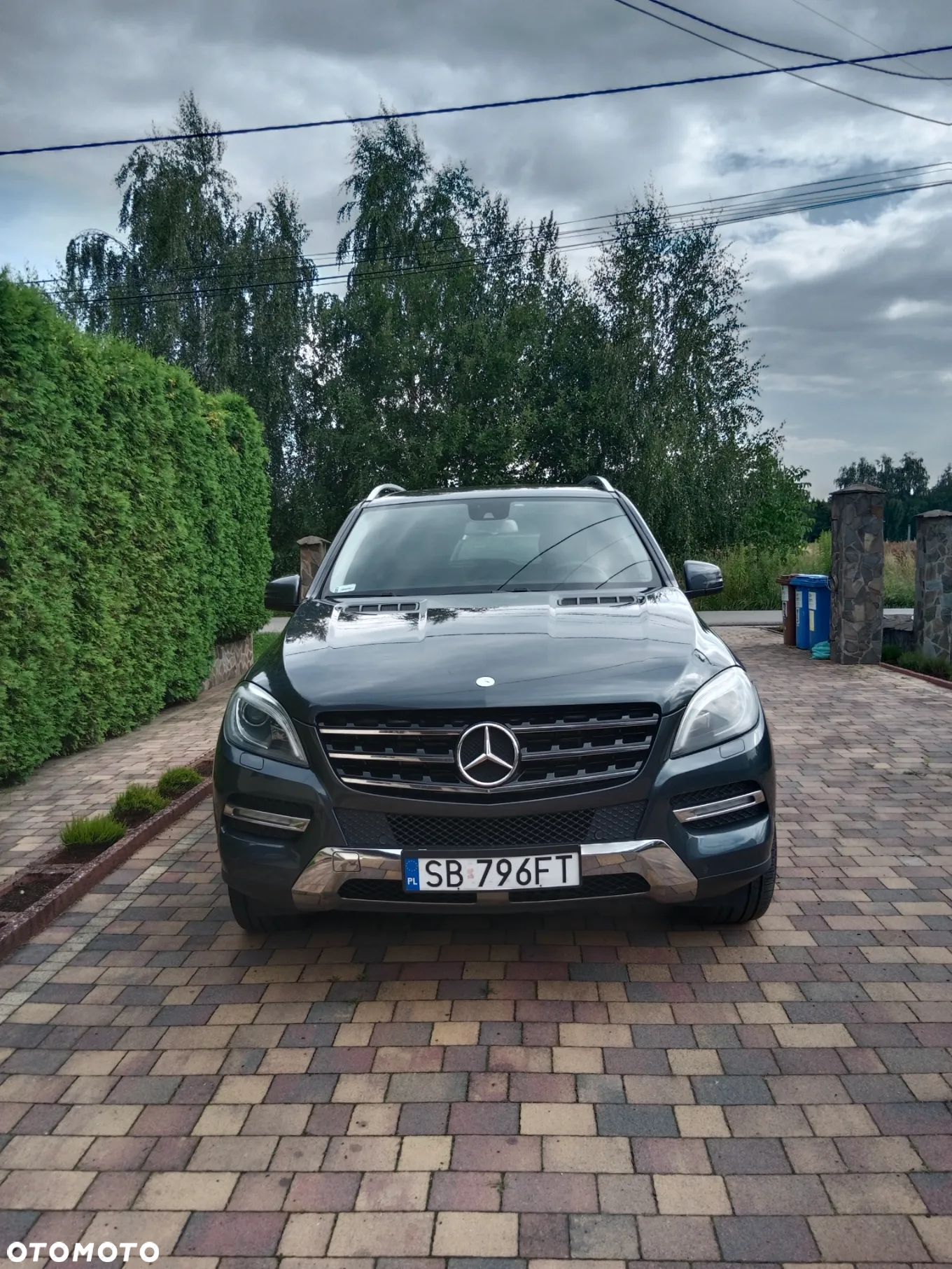 Mercedes-Benz ML 250 BlueTec 4-Matic - 1