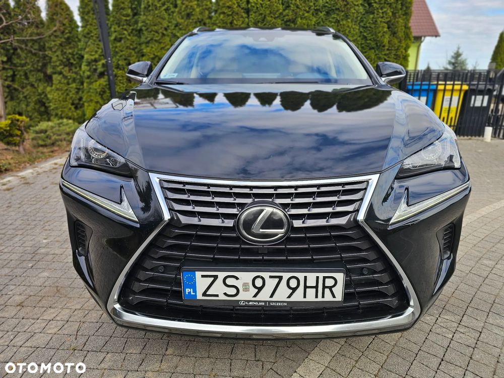 Lexus NX 300 Comfort AWD - 7