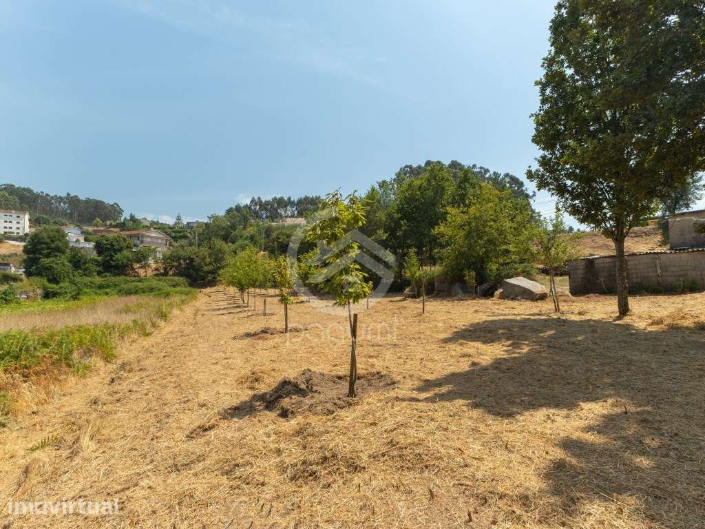 Terreno urbano em Penafiel - Potencial, localização e versatilidade - Grande imagem: 4/15