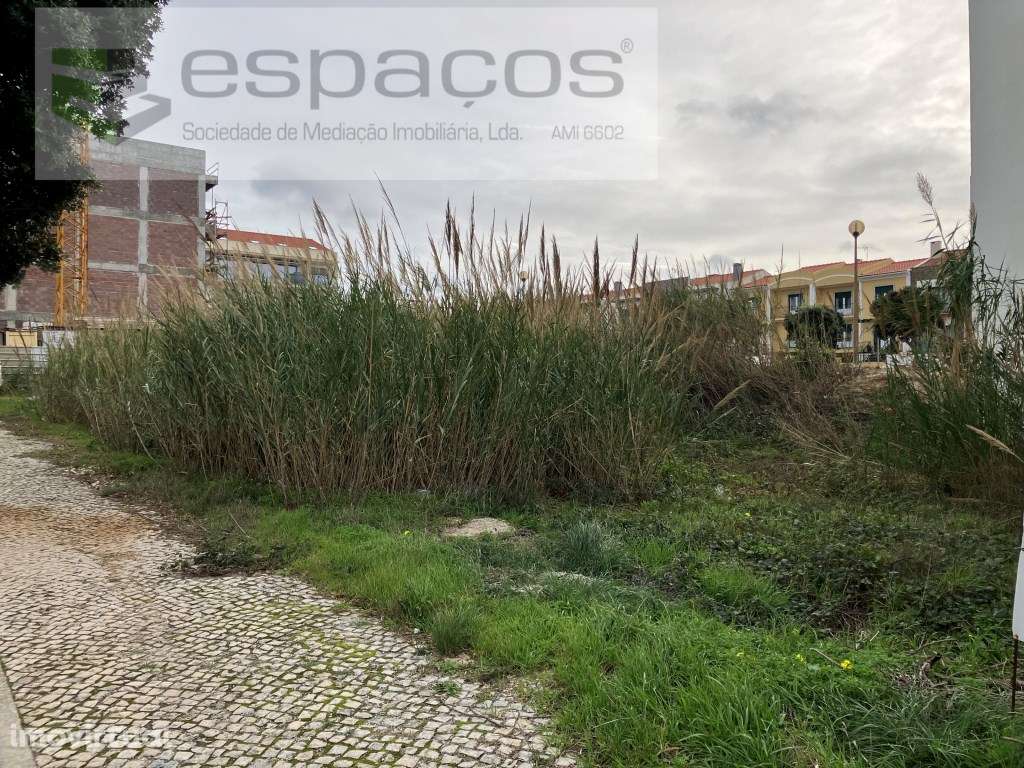 Terreno para construção de 18 fogos centro de Santa Cruz - Grande imagem: 2/8