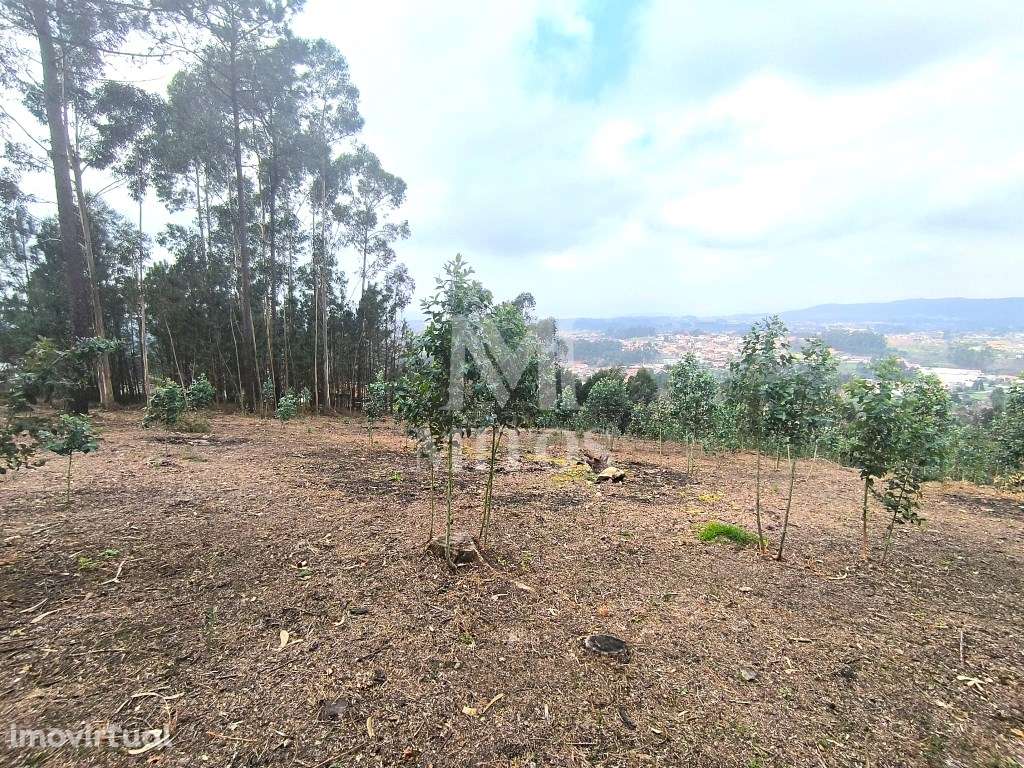 Terreno de construção - Grande imagem: 3/11