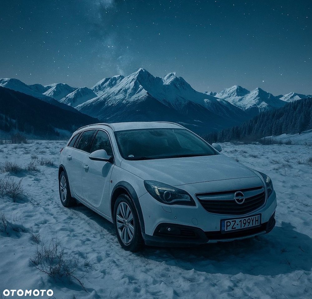 Opel Insignia 2.0 CDTI Cosmo 4x4 S&S - 1