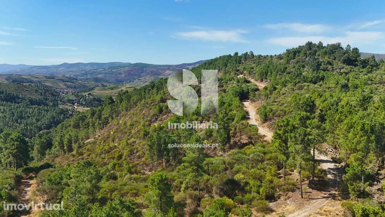 Terreno em Alijó - Grande imagem: 5/20