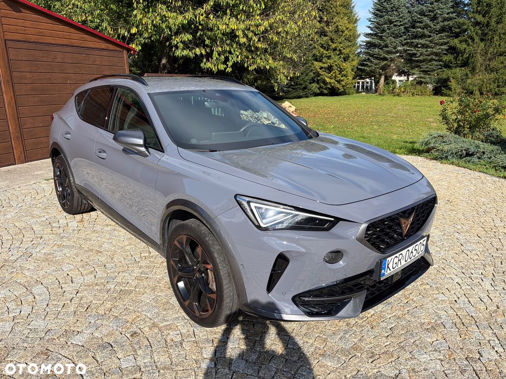 Cupra Formentor 2.0 TSI 4Drive DSG - 20