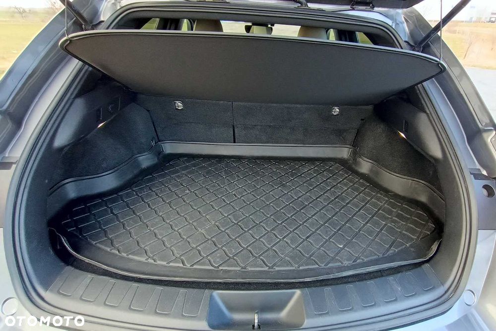 Lexus UX 250h Luxury Line - 23