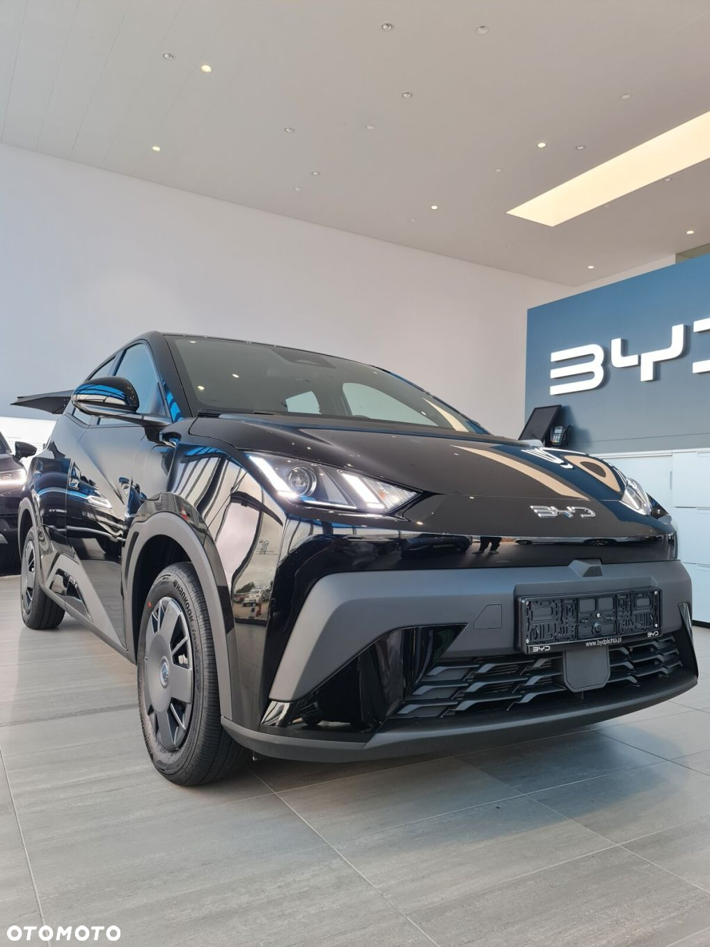 BYD Dolphin Surf - 5