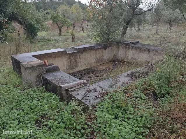 Terreno Rústico 3000m² em Comenda, Portugal - Grande imagem: 2/6