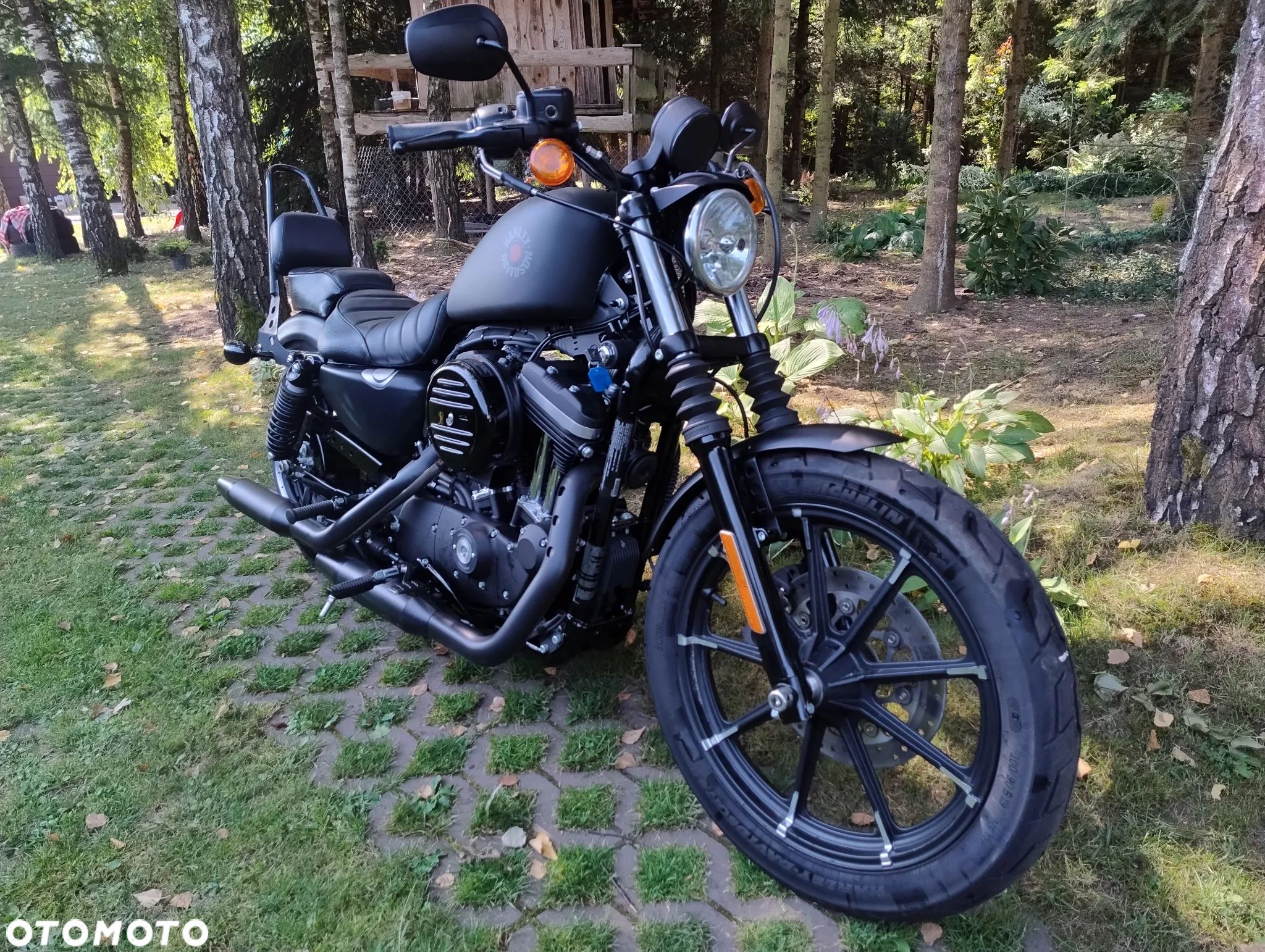 Harley-Davidson Sportster Iron 883 - 1