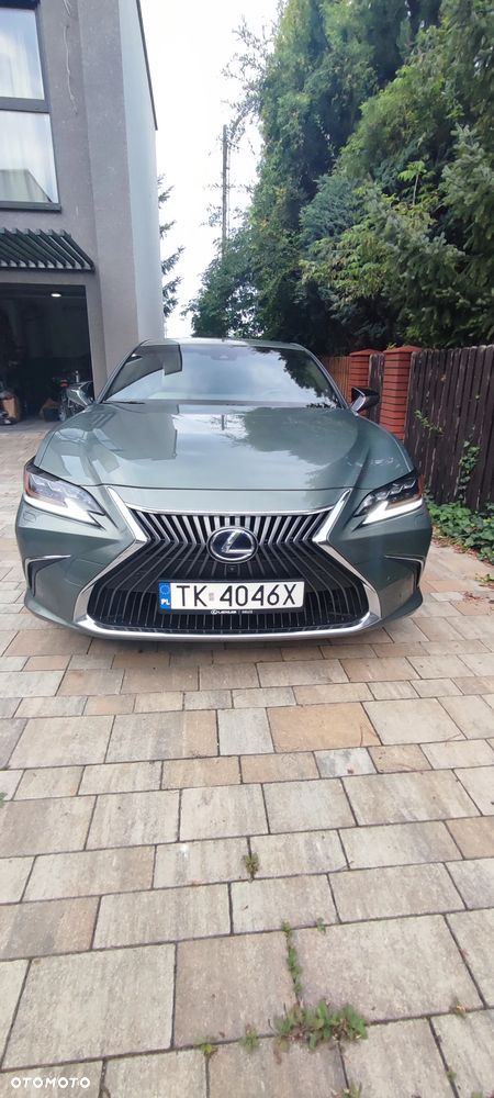 Lexus ES 300h Omotenashi - 10
