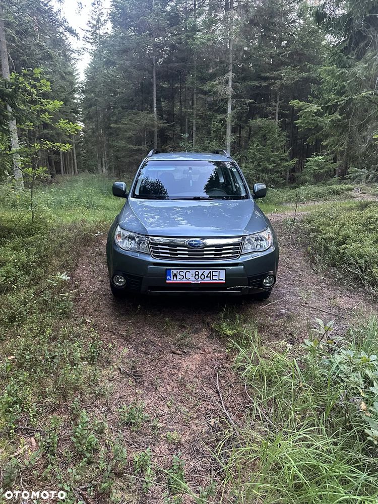 Subaru Forester - 2