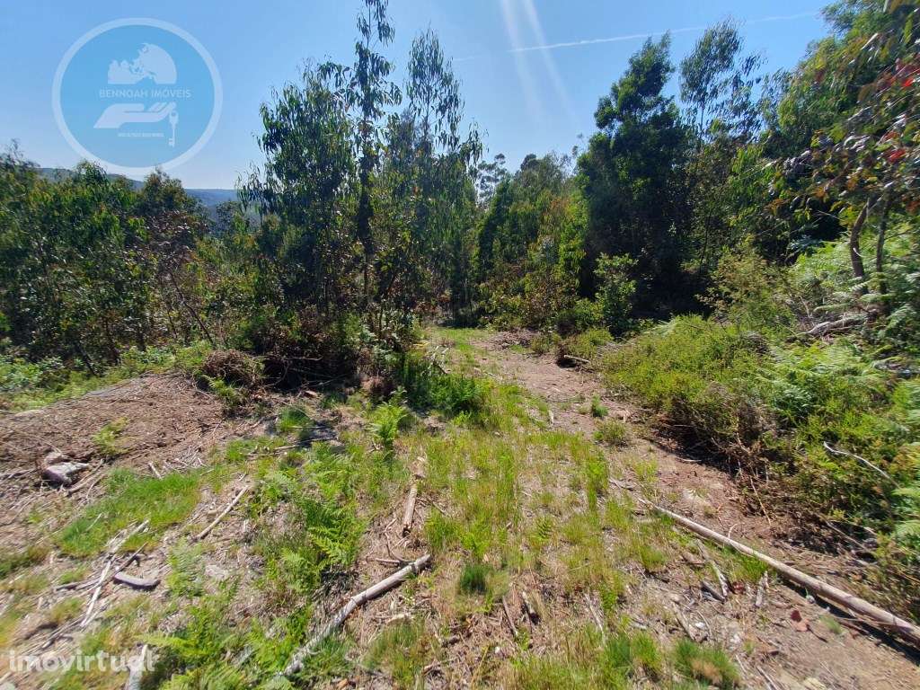 Terreno Construtivo em Vila Boa- Cabeceiras de Basto - Grande imagem: 3/10