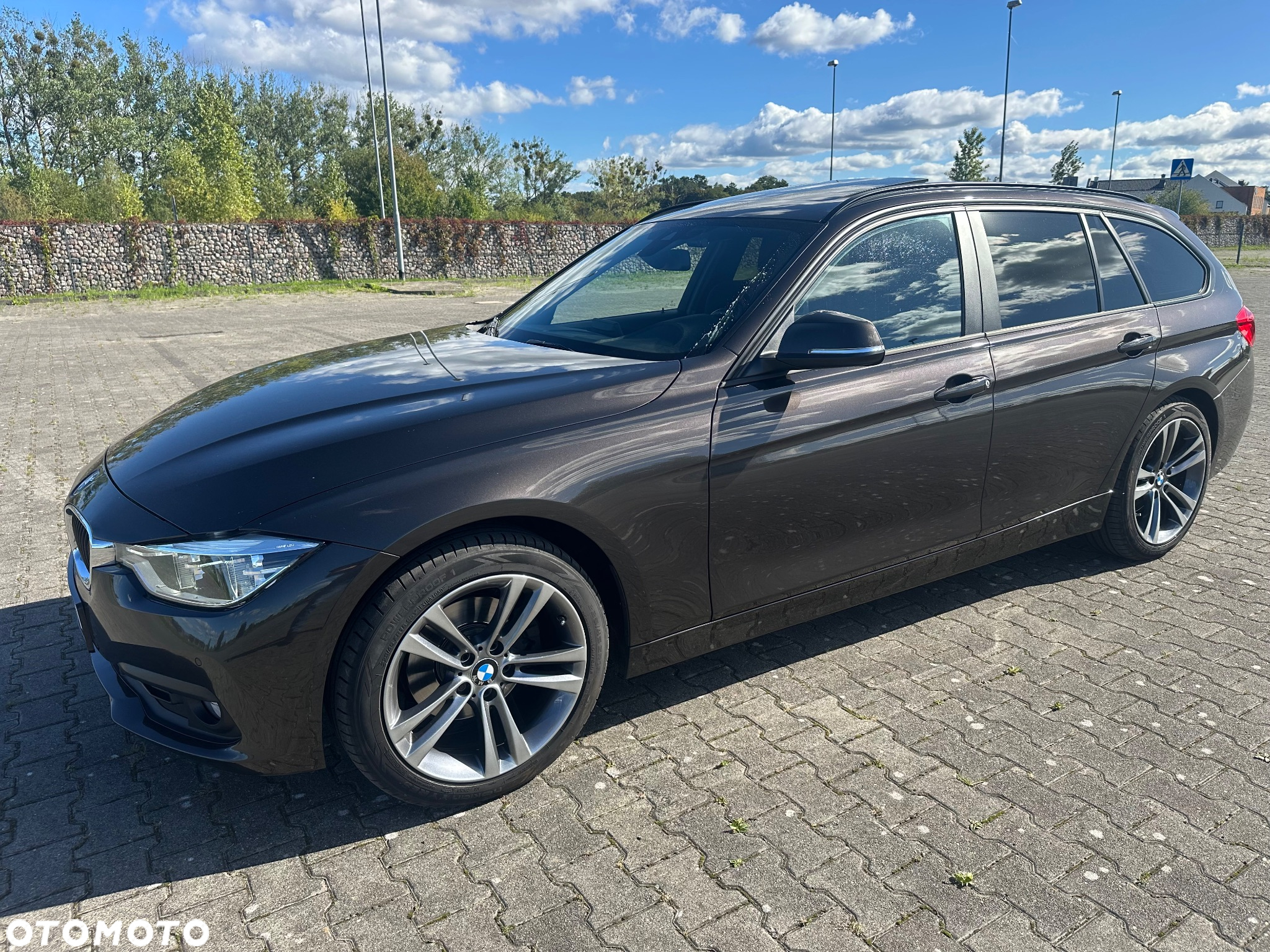 BMW Seria 3 320d xDrive Advantage - 3