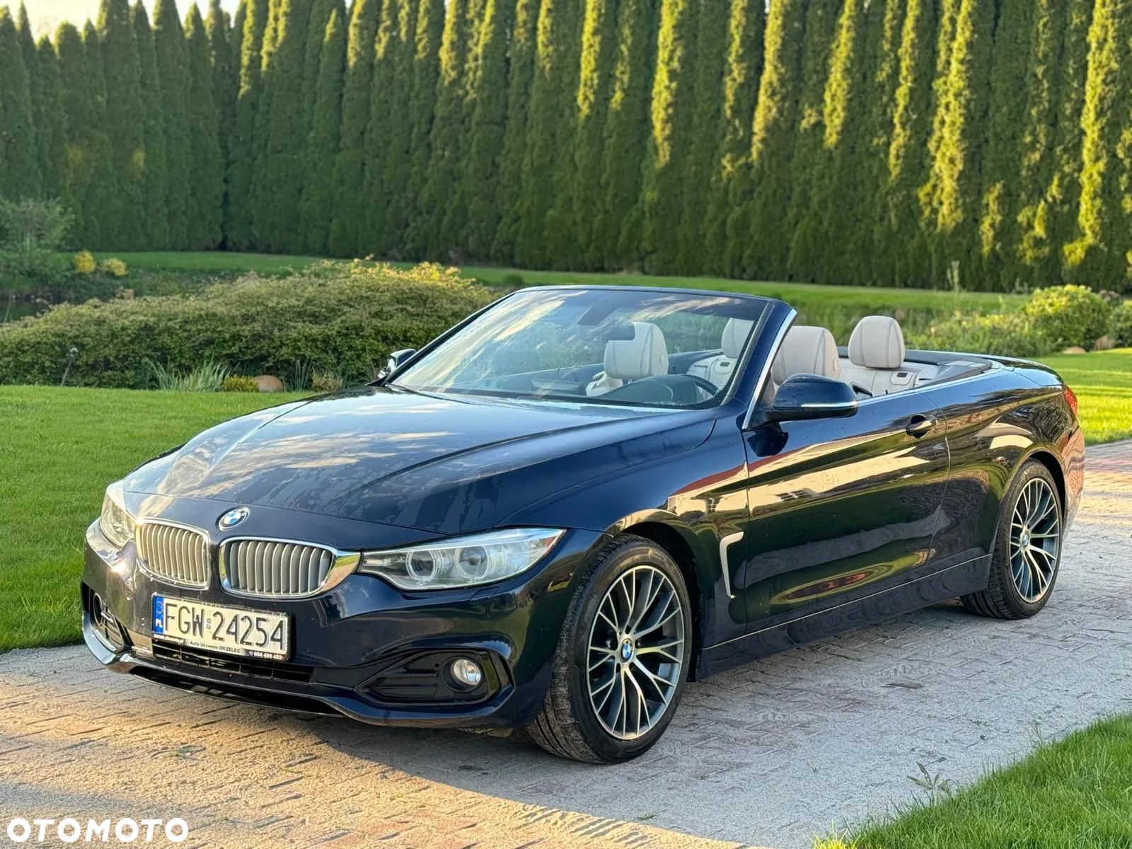 BMW Seria 4 420d Cabrio Luxury Line - 1