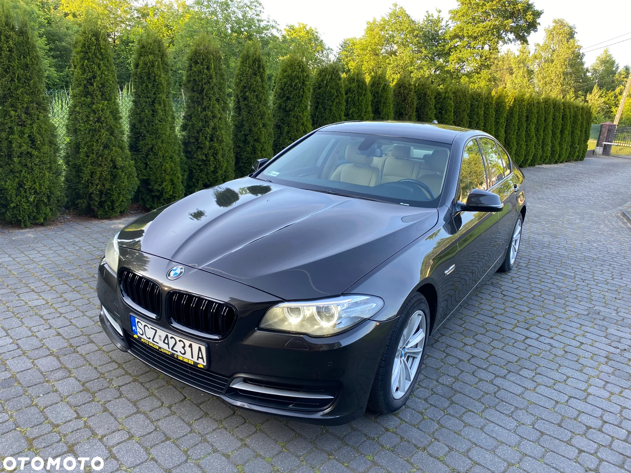 BMW Seria 5 520d - 2