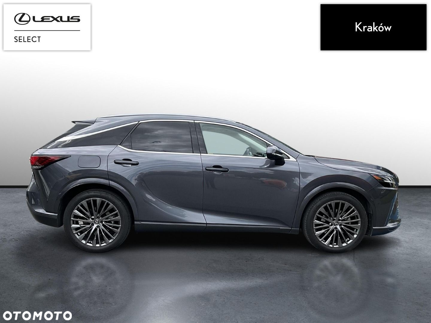 Lexus RX - 6