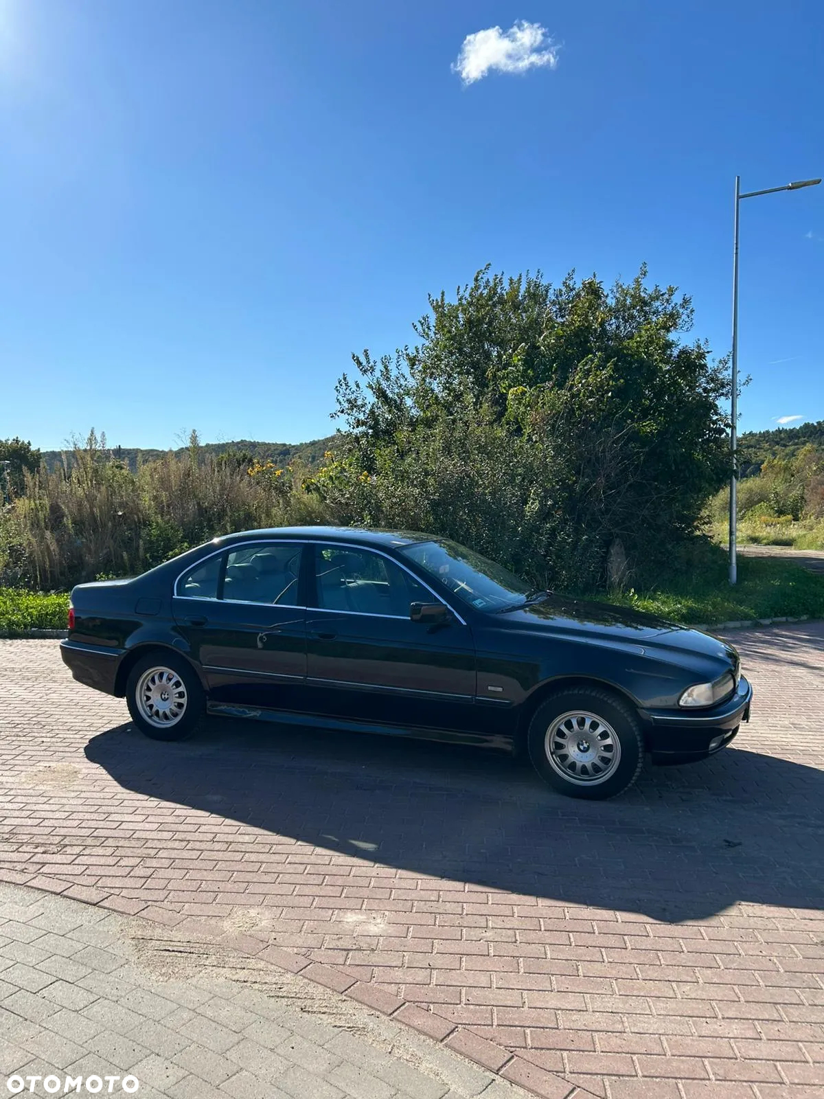 BMW Seria 5 - 3