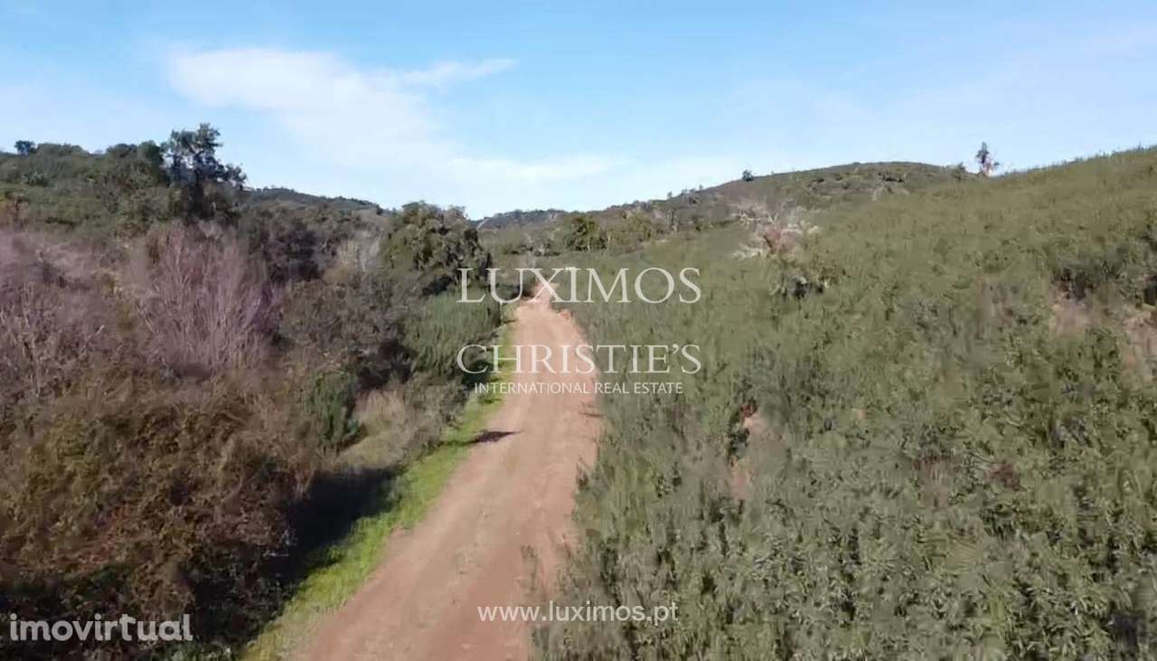 Terreno com projeto aprovado para venda em Silves, Algarve - Grande imagem: 3/15