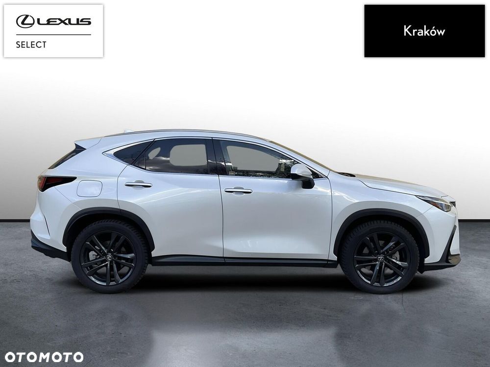 Lexus NX - 6