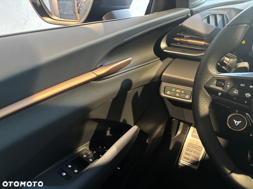 Cupra Terramar 2.0 TSI 4Drive DSG - 17