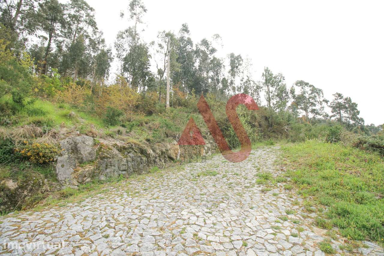 Terreno florestal com 46.000 m2 em Santa Eulália, Vizela - Grande imagem: 3/9
