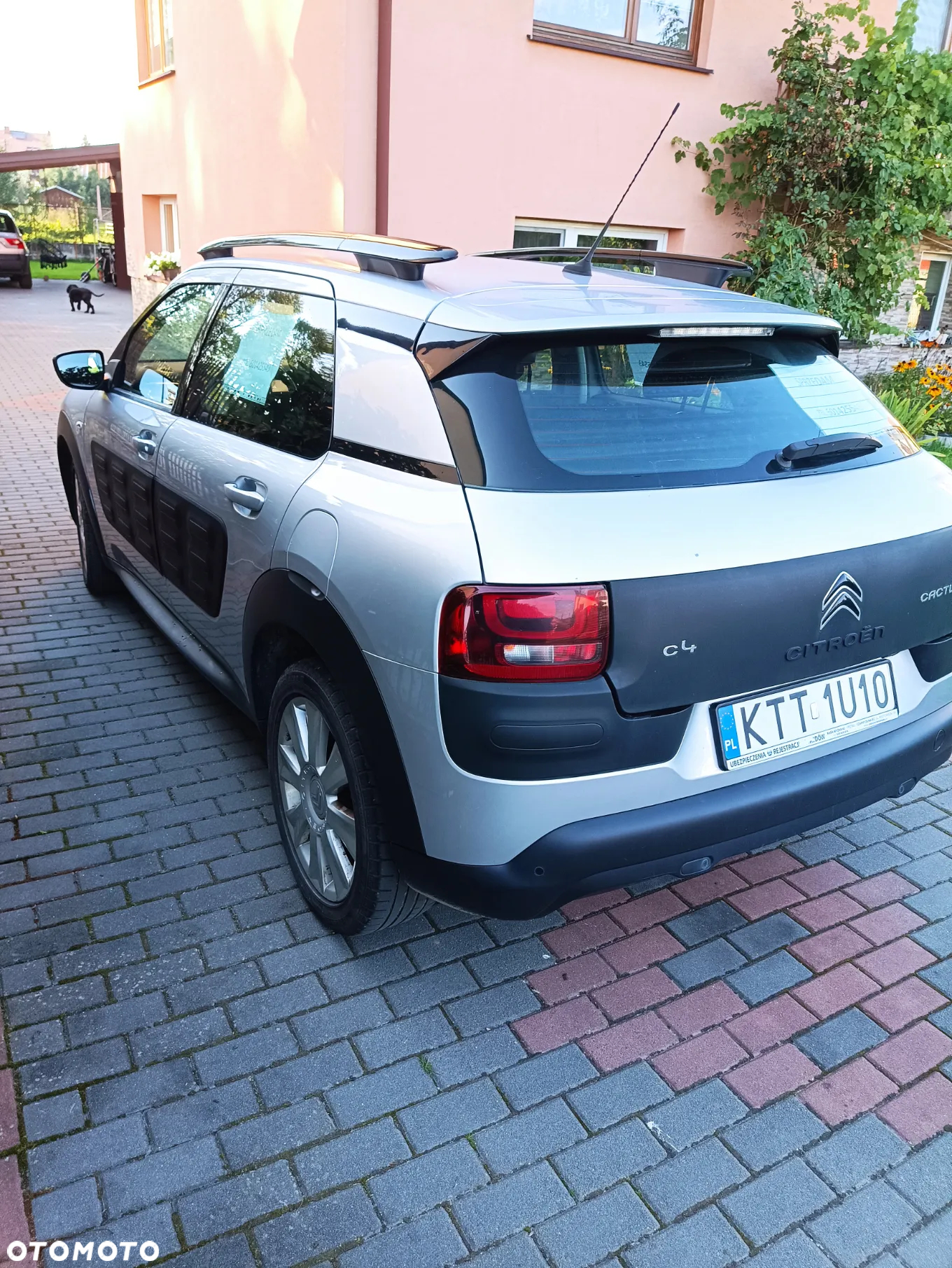 Citroën C4 Cactus 1.2 PureTech Feel Edition - 3