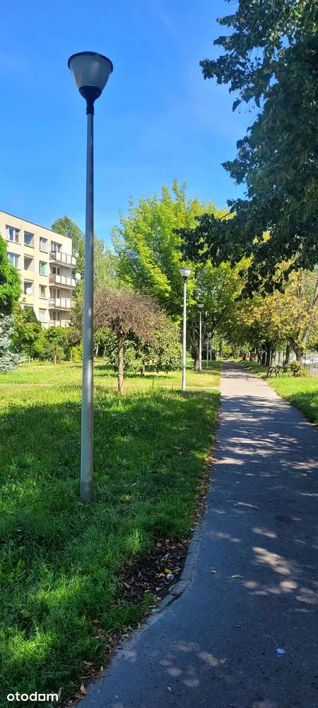 Bezposrednio. Mieszkanie do remontu