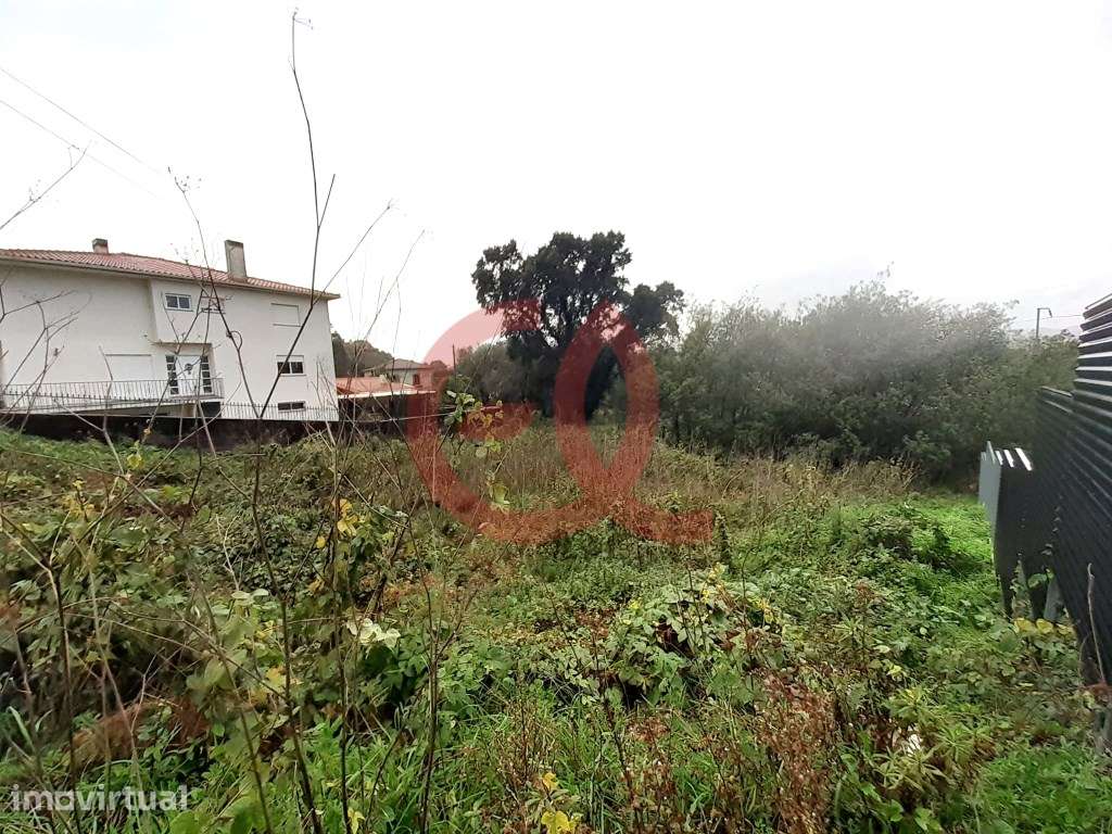 Lotes p/ construção - Darque, Viana do Castelo - Grande imagem: 5/11