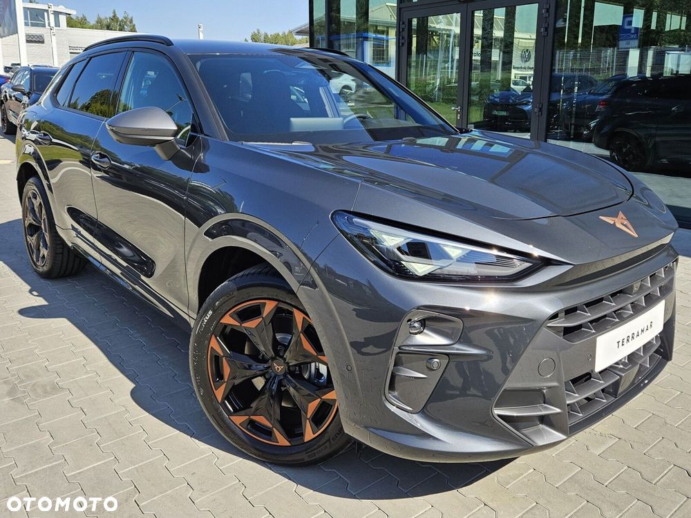 Cupra Terramar - 4