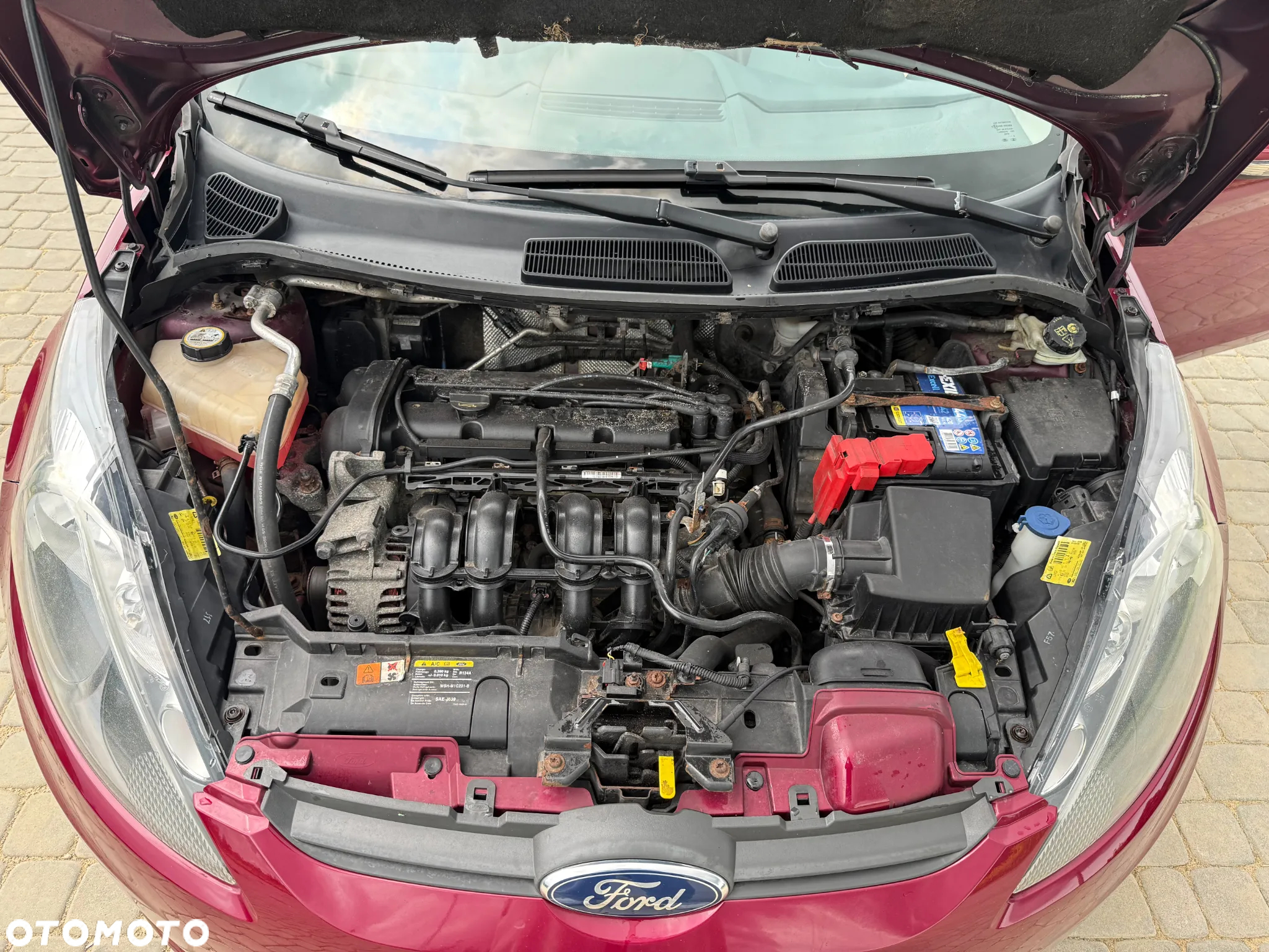 Ford Fiesta 1.25 Ghia - 20