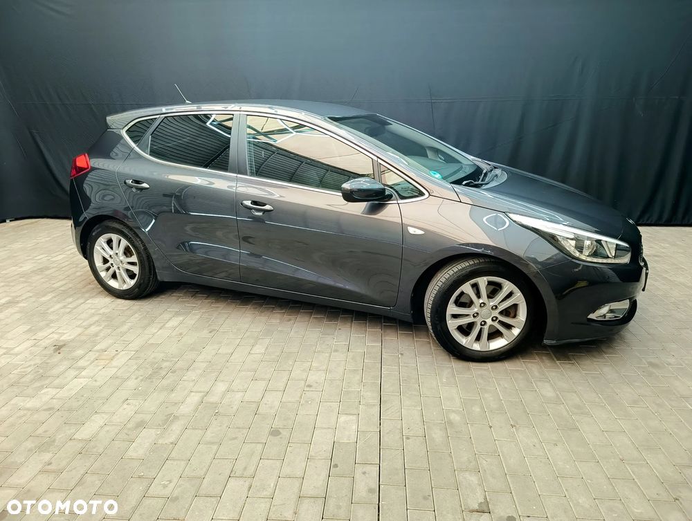 Kia Ceed 1.6 CRDi 128 Fifa World Cup Edition - 14