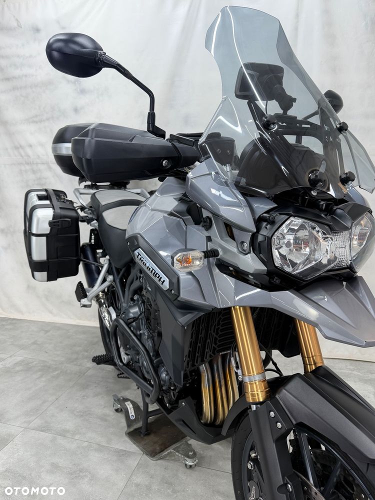 Triumph Tiger - 19