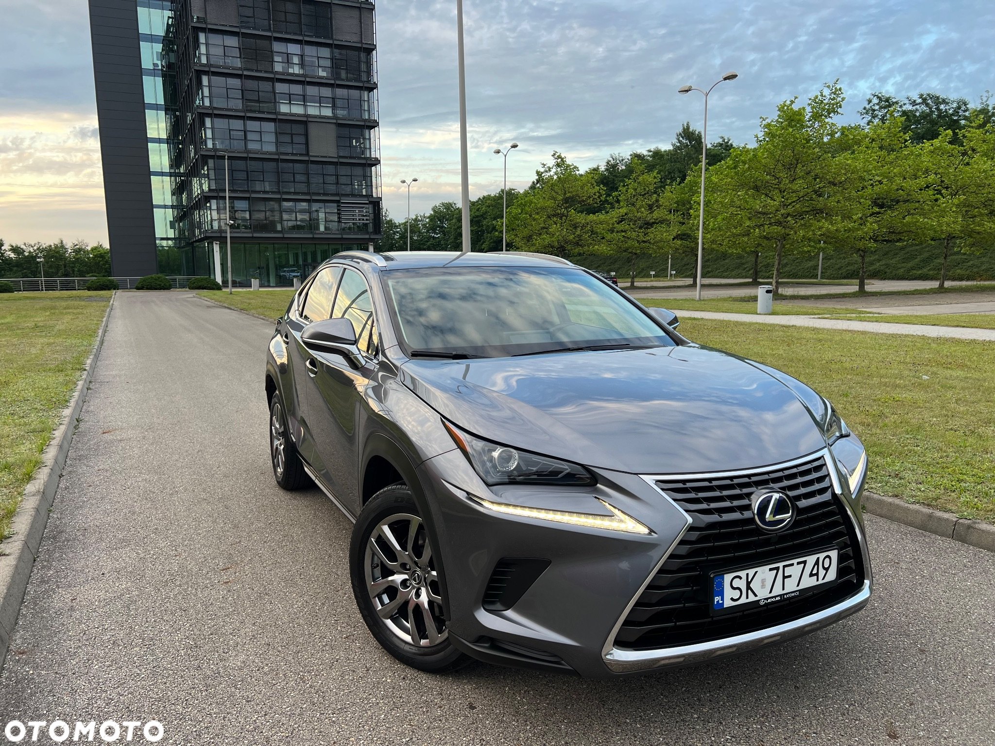 Lexus NX 300h Business Edition AWD - 17