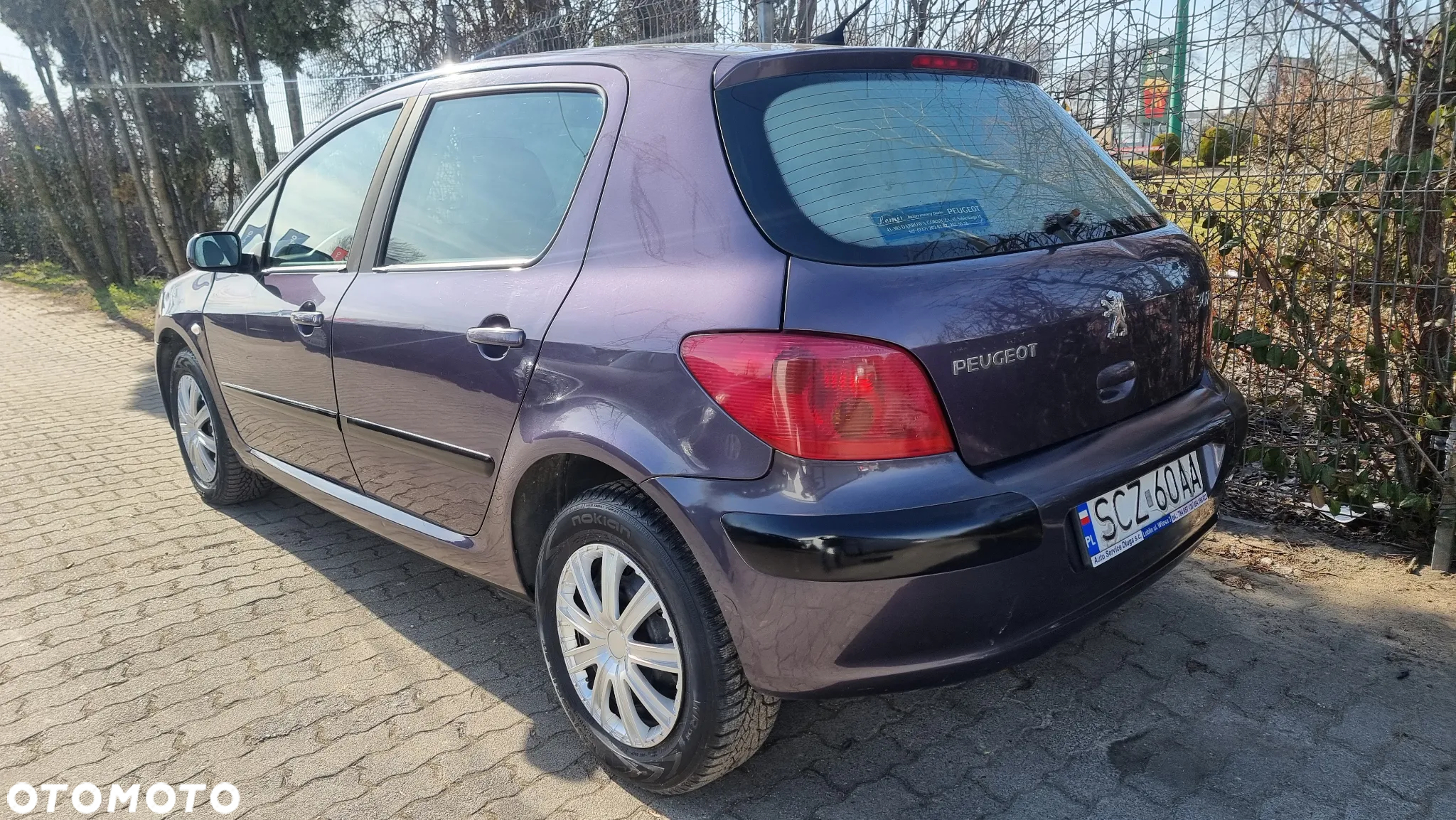 Peugeot 307 1.6 - 19