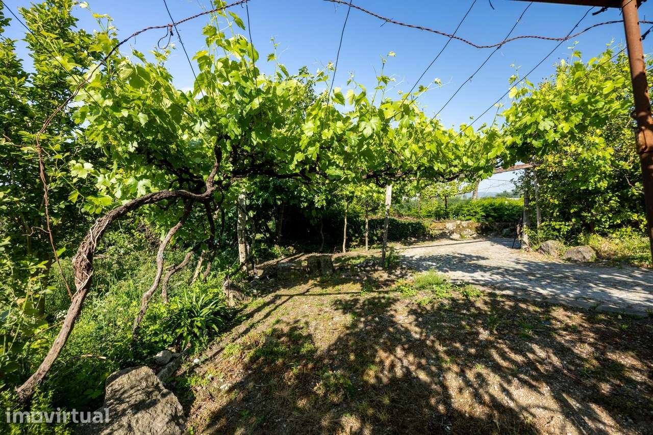 Quinta Tradicional com Vista de Campo em Penafiel - Grande imagem: 3/22