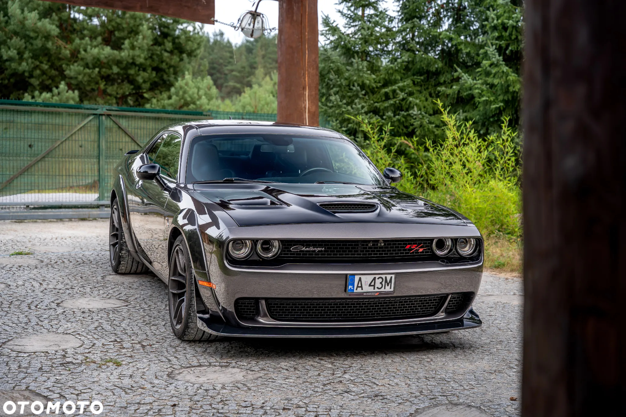 Dodge Challenger 6.4 Scat PackWidebody - 19