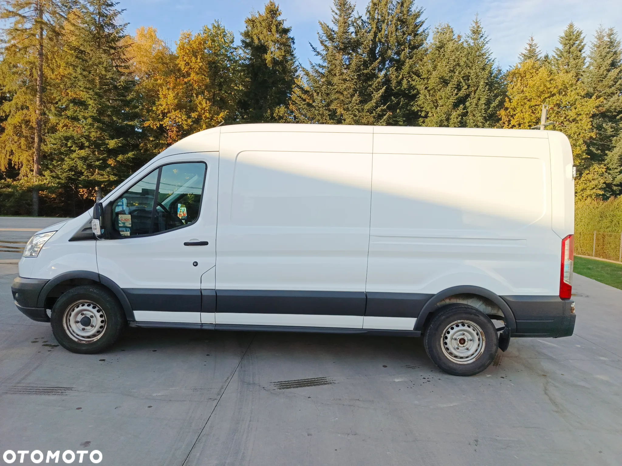 Ford Transit - 4