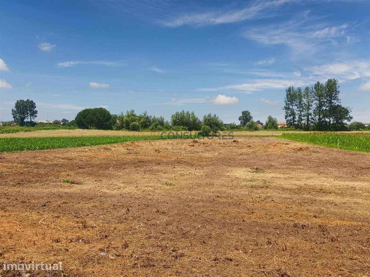 Terreno para construção de edificio multifamiliar - Grande imagem: 5/15