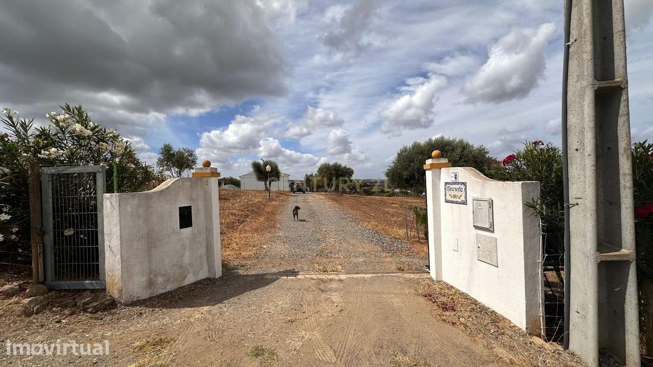 Quinta em Trigaches — 1 hectare em comunhão com a natureza - Grande imagem: 2/27