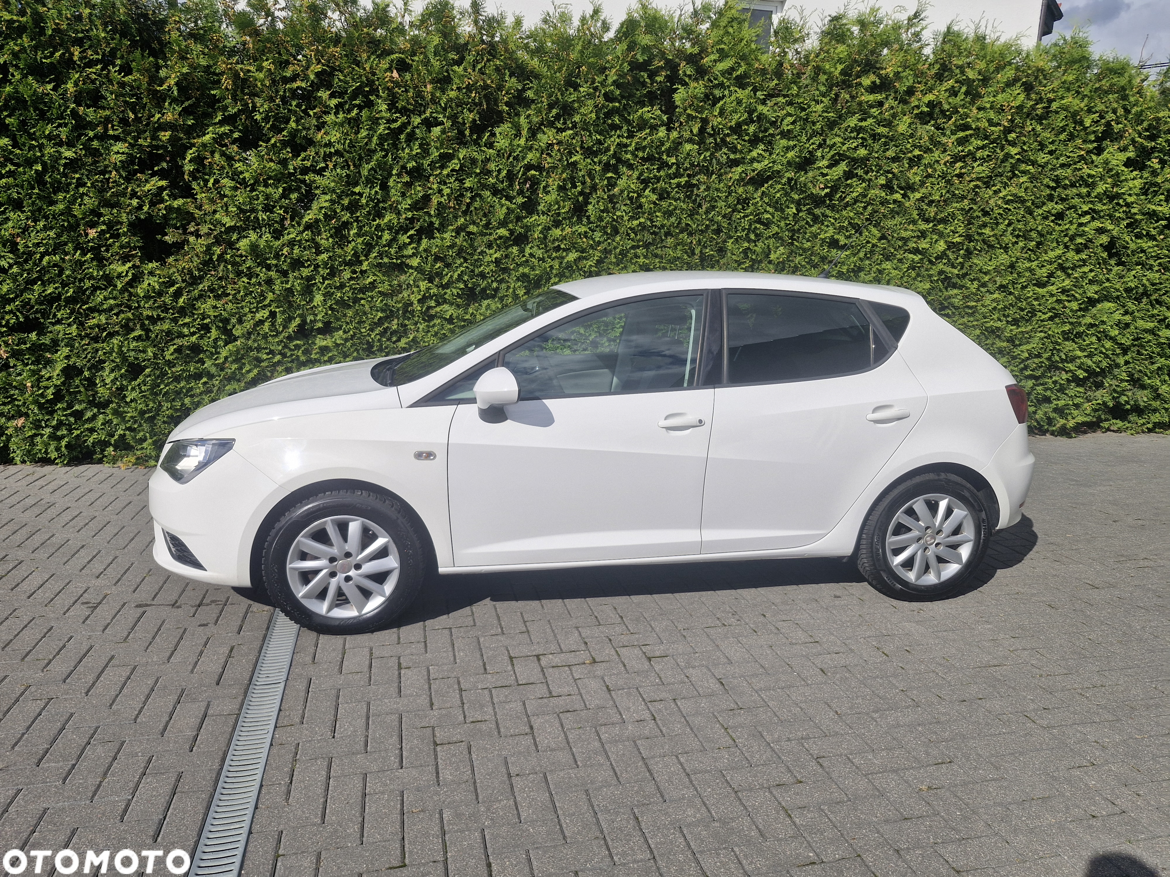 Seat Ibiza 1.4 16V Style - 14