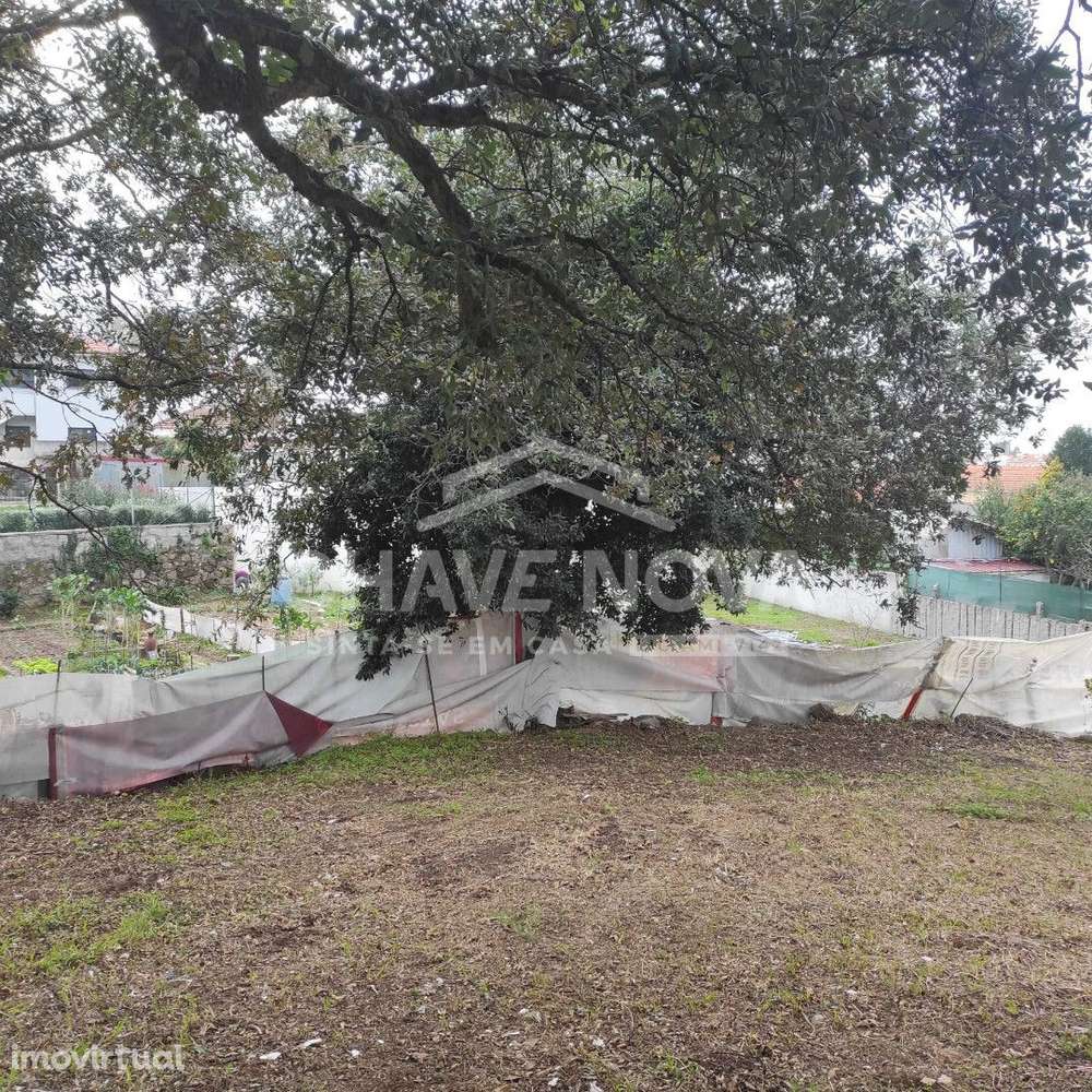 Lote c/Projeto Aprovado p/ 5 Moradias em Canelas - Grande imagem: 4/7