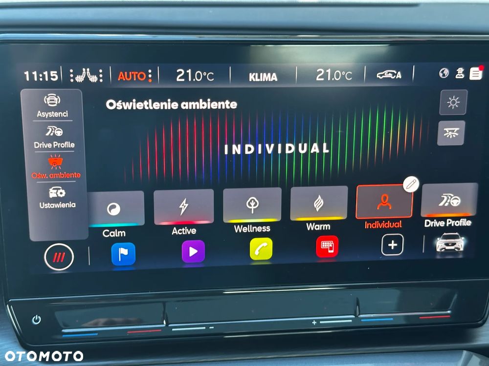 Cupra Formentor 2.0 TSI 4Drive VZ DSG - 29