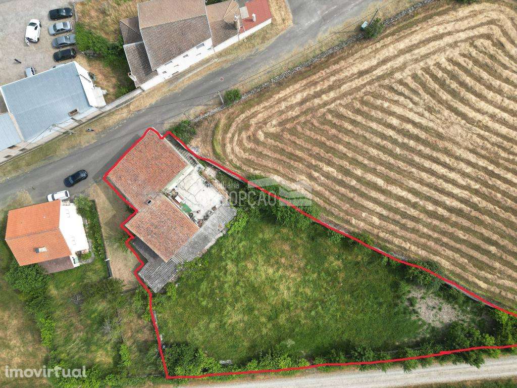 Moradia Duas Igrejas - Miranda do Douro - Grande imagem: 3/7