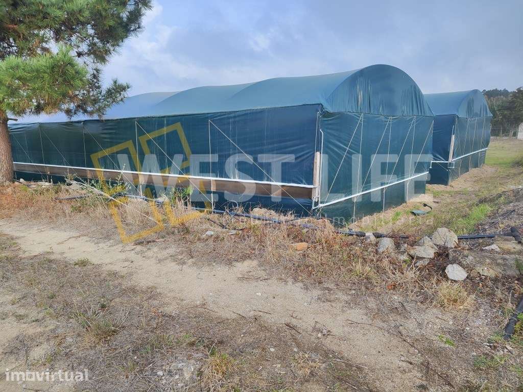 Excelente Terreno Rústico com 6.410 m² | Ideal para Projeto Agrícol... - Grande imagem: 4/12