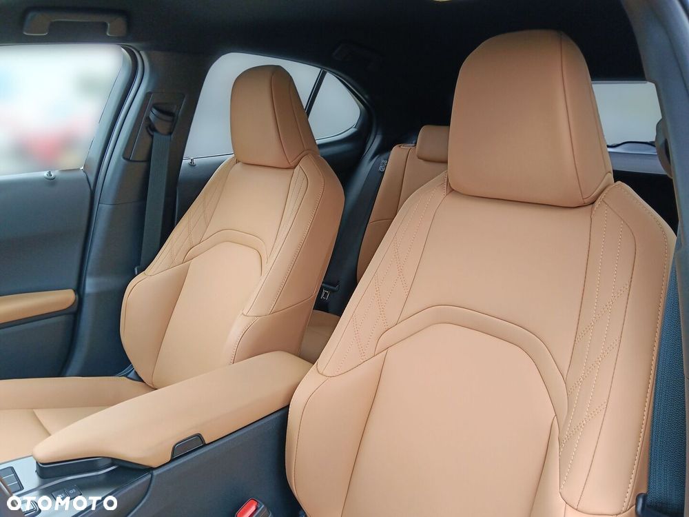 Lexus UX 300h F Sport Design - 12