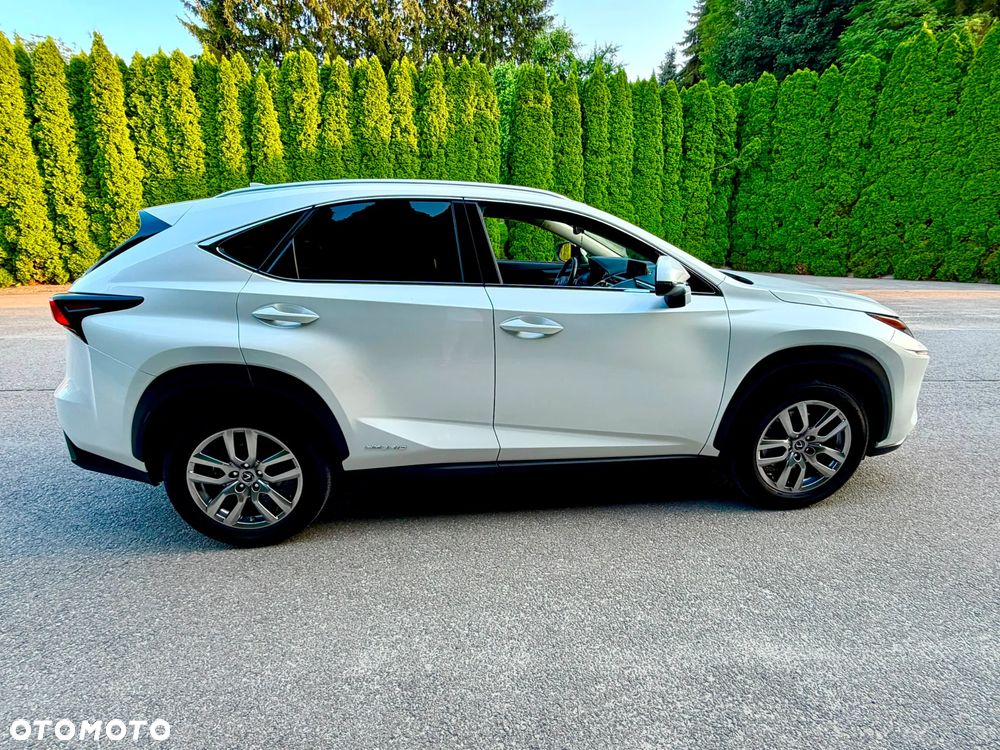 Lexus NX 300h Business Edition AWD - 18